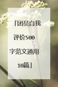 团员自我评价500字范文通用10篇