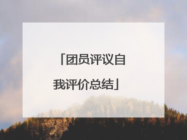 团员评议自我评价总结