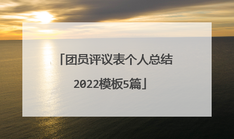 团员评议表个人总结2022模板5篇