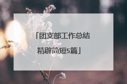 团支部工作总结精辟简短5篇