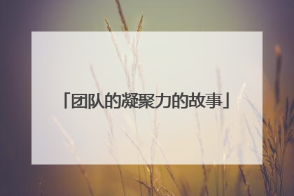 团队的凝聚力的故事