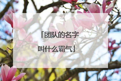 团队的名字叫什么霸气