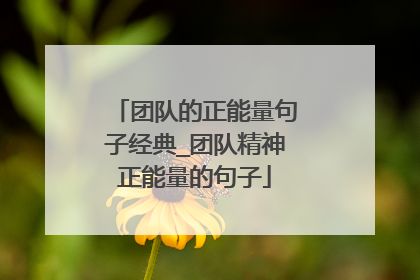 团队的正能量句子经典_团队精神正能量的句子