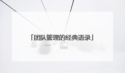 团队管理的经典语录