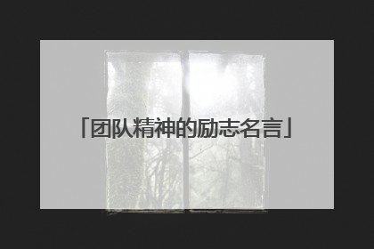 团队精神的励志名言