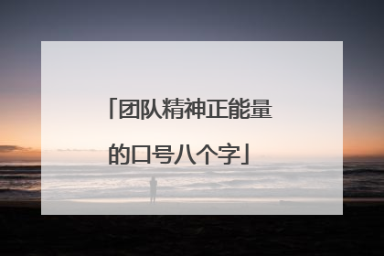 团队精神正能量的口号八个字