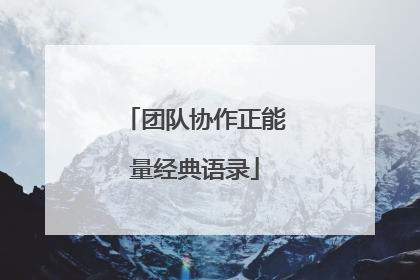 团队协作正能量经典语录