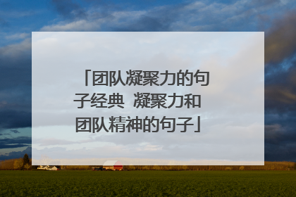 团队凝聚力的句子经典 凝聚力和团队精神的句子