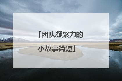 团队凝聚力的小故事简短