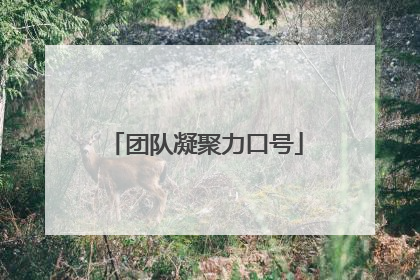 团队凝聚力口号