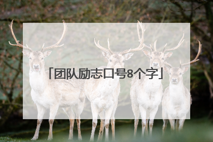 团队励志口号8个字