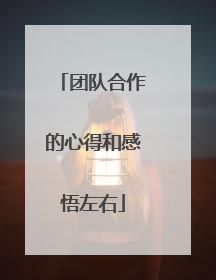 团队合作的心得和感悟左右