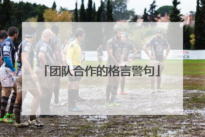 团队合作的格言警句