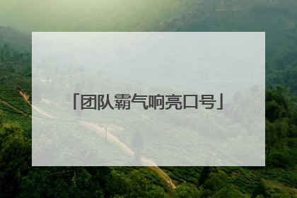 团队霸气响亮口号