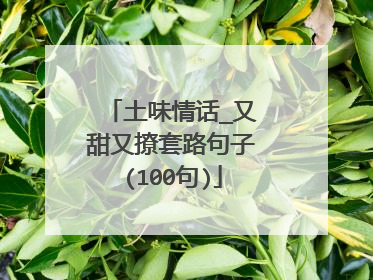 土味情话_又甜又撩套路句子(100句)