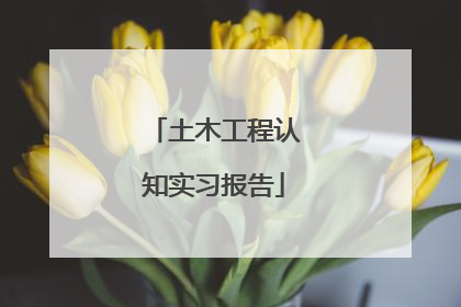 土木工程认知实习报告