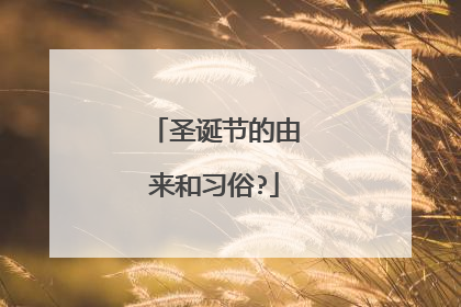 圣诞节的由来和习俗?