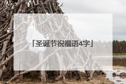 圣诞节祝福语4字