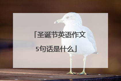 圣诞节英语作文5句话是什么