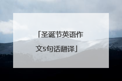 圣诞节英语作文5句话翻译