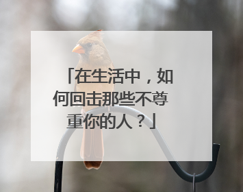 在生活中,如何回击那些不尊重你的人?