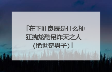 在下叶良辰是什么梗 狂拽炫酷吊炸天之人(绝世奇男子)