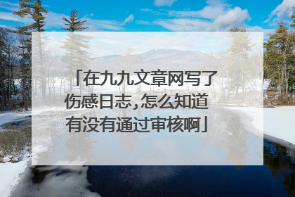 在九九文章网写了伤感日志,怎么知道有没有通过审核啊