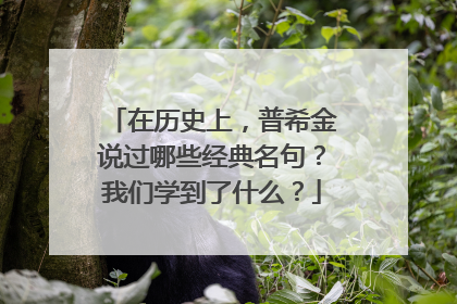 在历史上，普希金说过哪些经典名句？我们学到了什么？