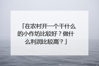 在农村开一个干什么的小作坊比较好？做什么利润比较高？