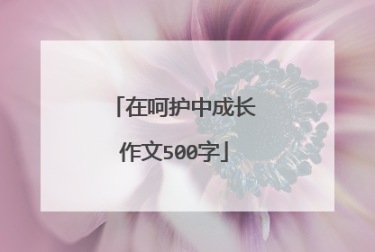 在呵护中成长作文500字