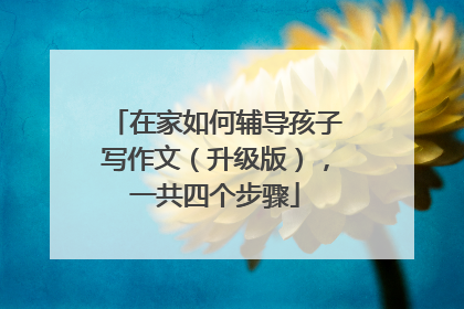 在家如何辅导孩子写作文（升级版），一共四个步骤