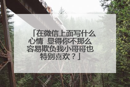 在微信上面写什么心情 显得你不那么容易欺负我小哥哥也特别喜欢？