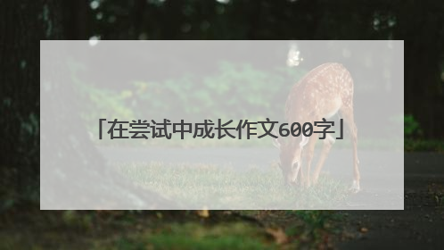 在尝试中成长作文600字