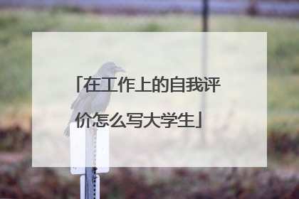 在工作上的自我评价怎么写大学生
