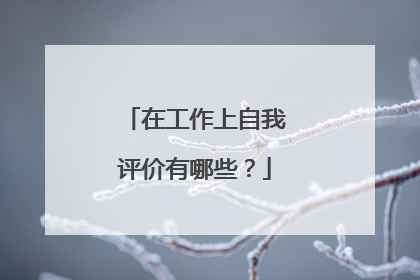 在工作上自我评价有哪些？