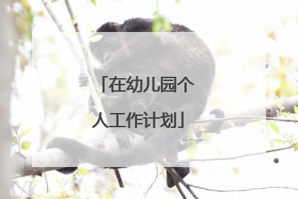 在幼儿园个人工作计划