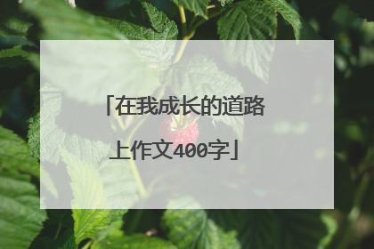 在我成长的道路上作文400字