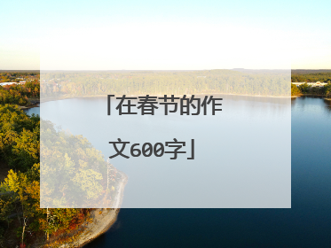 在春节的作文600字