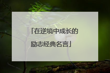 在逆境中成长的励志经典名言