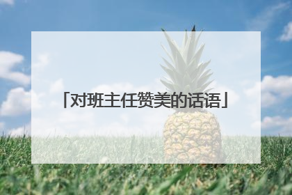 对班主任赞美的话语