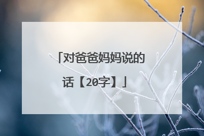 对爸爸妈妈说的话【20字】