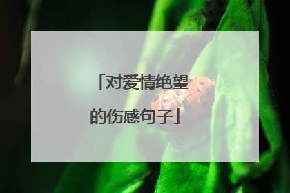 对爱情绝望的伤感句子