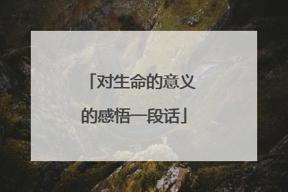 对生命的意义的感悟一段话