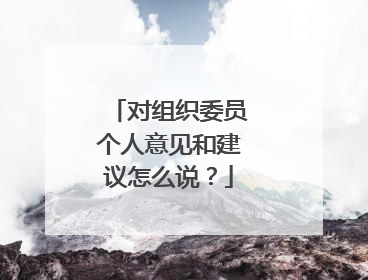 对组织委员个人意见和建议怎么说?