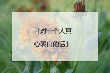 对一个人真心表白的话