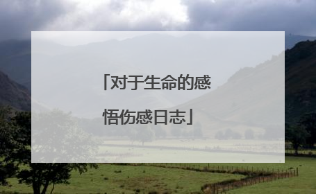 对于生命的感悟伤感日志