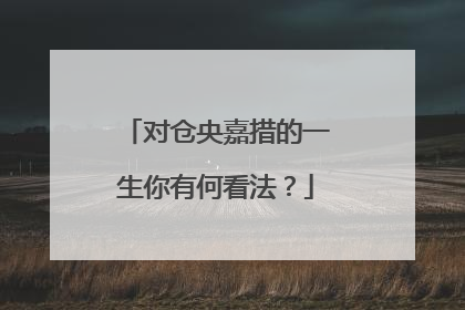 对仓央嘉措的一生你有何看法?