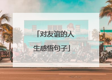 对友谊的人生感悟句子