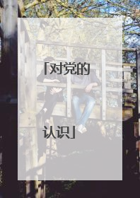 对党的认识
