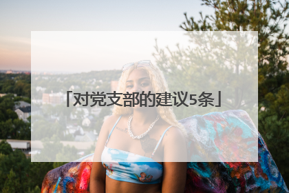 对党支部的建议5条